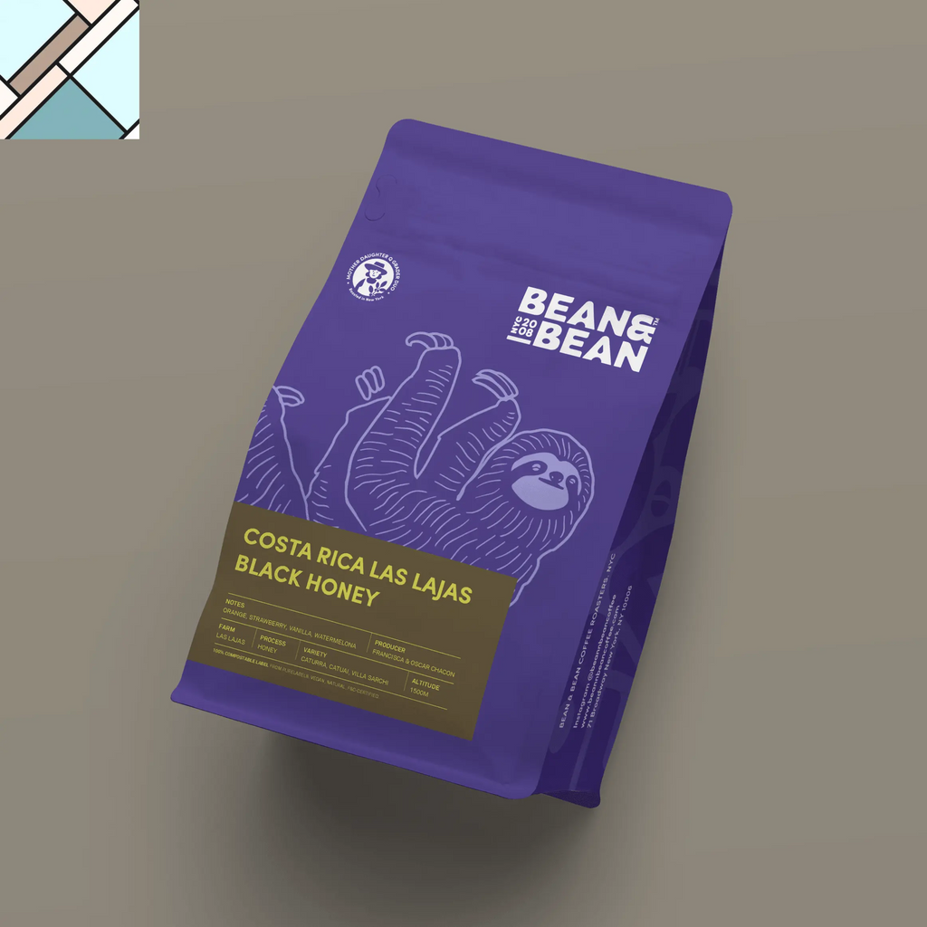 Costa Rica Las Lajas Black Honey by Bean & Bean Coffee Roasters BEAN & BEAN COFFEE ROASTERS