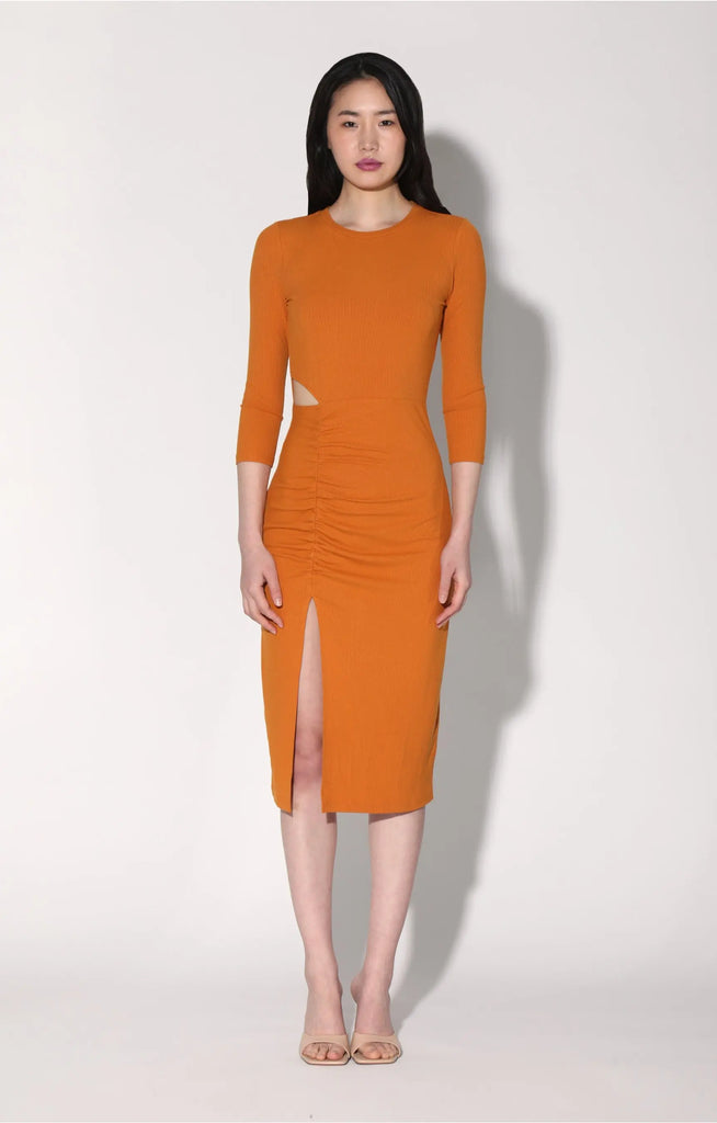 Kalani Dress, Rust by Walter Baker Walter Baker