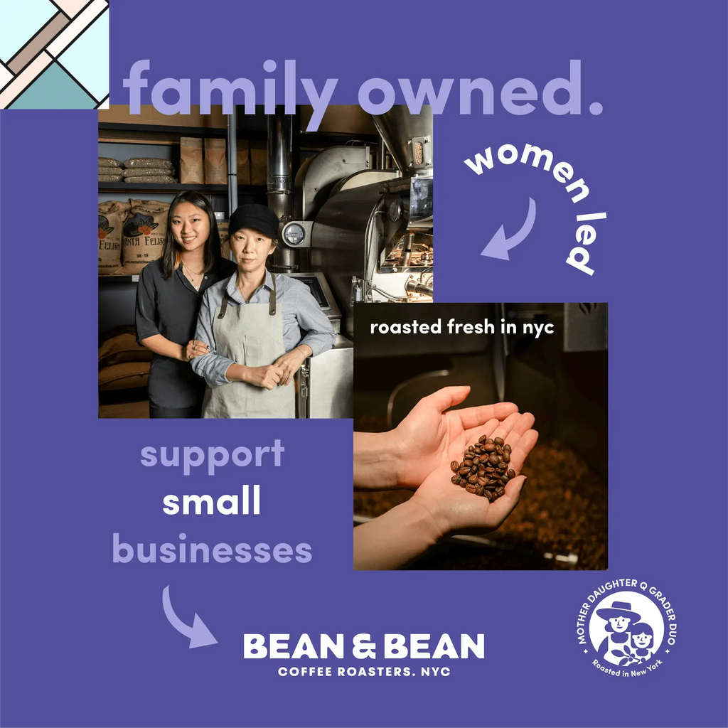 Mexico MWP Decaf | Organic by Bean & Bean Coffee Roasters BEAN & BEAN COFFEE ROASTERS